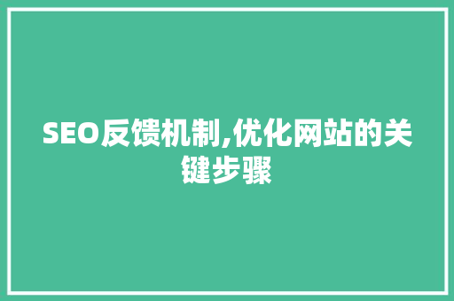 SEO反馈机制,优化网站的关键步骤