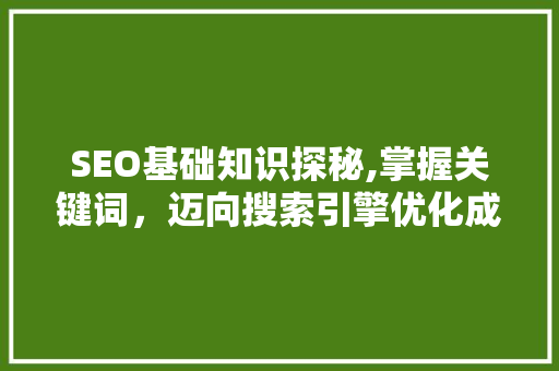 SEO基础知识探秘,掌握关键词，迈向搜索引擎优化成功之路 网络技术