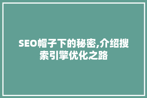 SEO帽子下的秘密,介绍搜索引擎优化之路