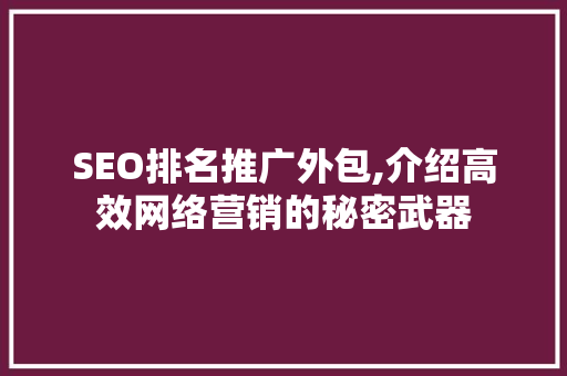 SEO排名推广外包,介绍高效网络营销的秘密武器