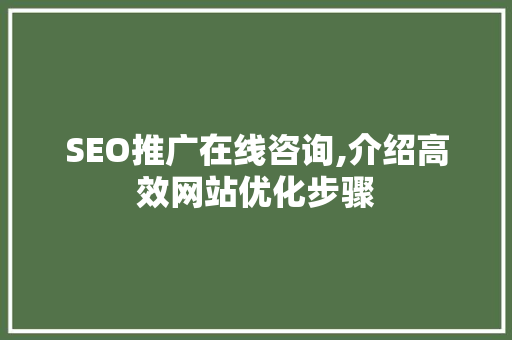 SEO推广在线咨询,介绍高效网站优化步骤