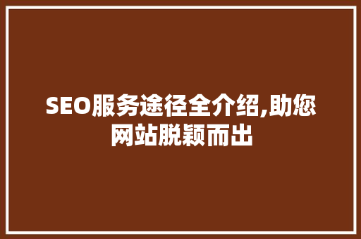 SEO服务途径全介绍,助您网站脱颖而出
