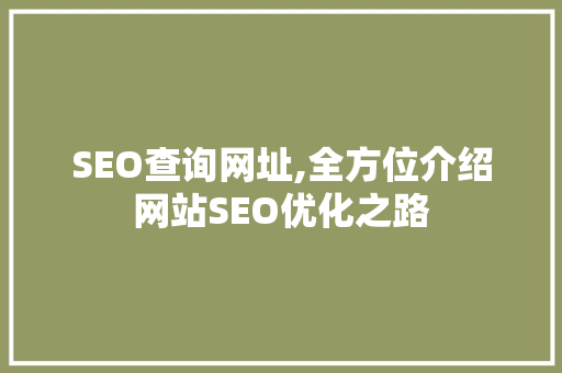 SEO查询网址,全方位介绍网站SEO优化之路