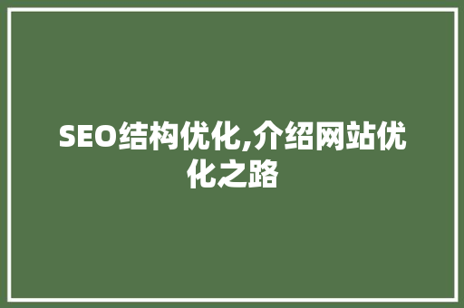 SEO结构优化,介绍网站优化之路