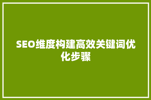 SEO维度构建高效关键词优化步骤 网络技术