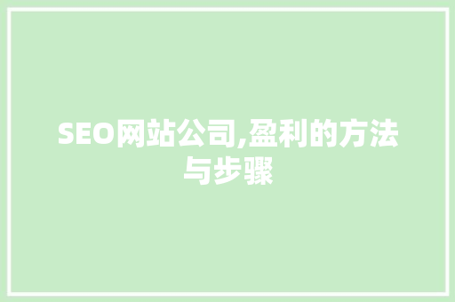 SEO网站公司,盈利的方法与步骤