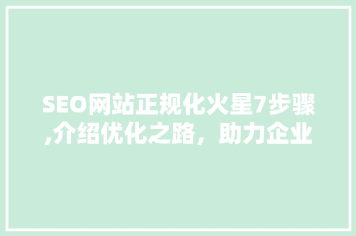 SEO网站正规化火星7步骤,介绍优化之路，助力企业腾飞