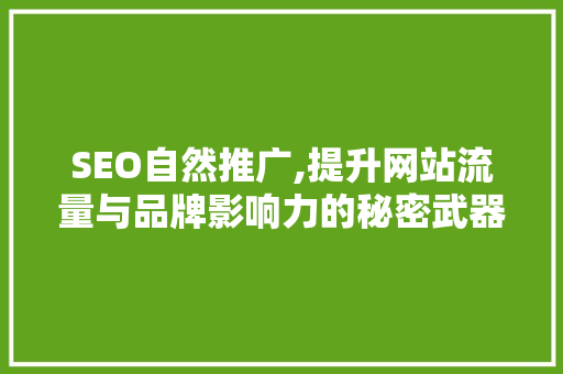 SEO自然推广,提升网站流量与品牌影响力的秘密武器