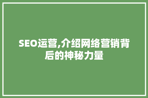 SEO运营,介绍网络营销背后的神秘力量