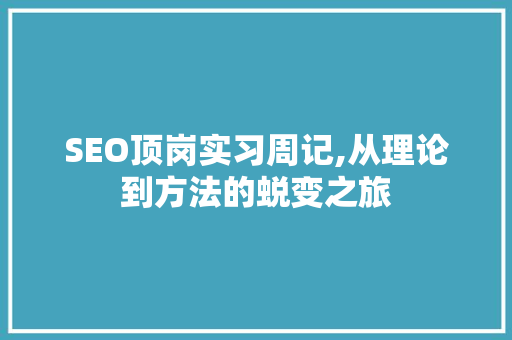 SEO顶岗实习周记,从理论到方法的蜕变之旅