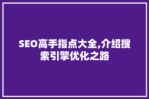 SEO高手指点大全,介绍搜索引擎优化之路 SEO高手指点大全,介绍搜索引擎优化之路