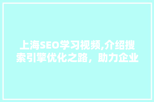 上海SEO学习视频,介绍搜索引擎优化之路，助力企业在线崛起