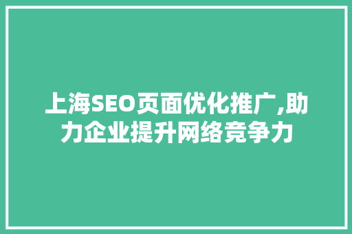 上海SEO页面优化推广,助力企业提升网络竞争力 编程语言