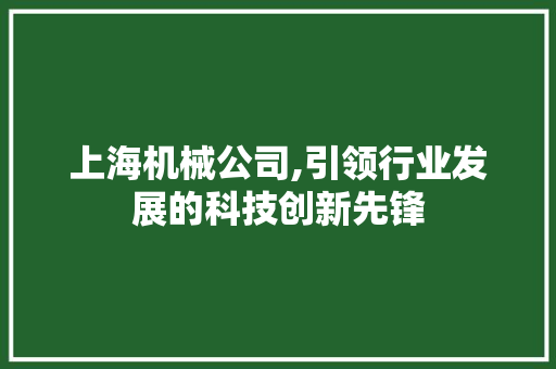 上海机械公司,引领行业发展的科技创新先锋