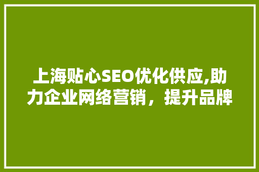 上海贴心SEO优化供应,助力企业网络营销，提升品牌影响力