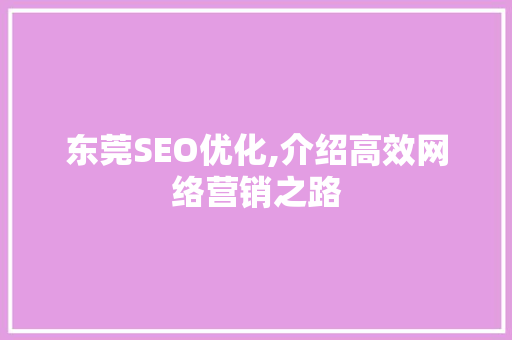 东莞SEO优化,介绍高效网络营销之路