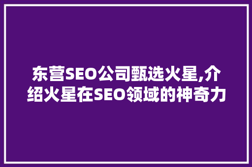东营SEO公司甄选火星,介绍火星在SEO领域的神奇力量