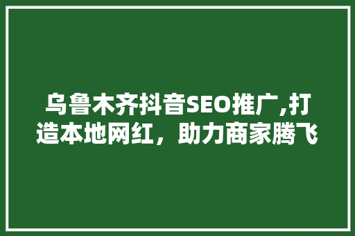 乌鲁木齐抖音SEO推广,打造本地网红，助力商家腾飞