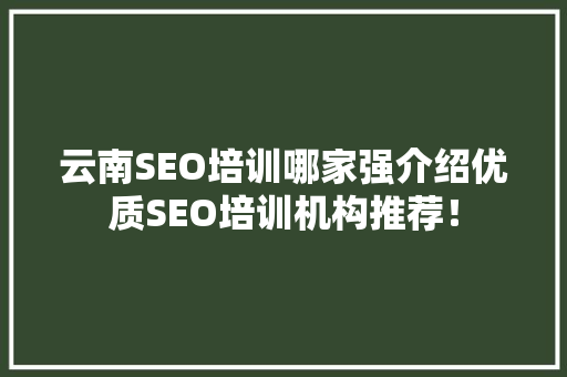 云南SEO培训哪家强介绍优质SEO培训机构推荐! 编程语言 云南SEO培训哪家强介绍优质SEO培训机构推荐! 编程语言