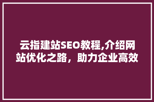 云指建站SEO教程,介绍网站优化之路,助力企业高效提升网络曝光 云指建站SEO教程,介绍网站优化之路,助力企业高效提升网络曝光