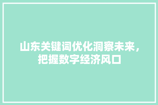山东关键词优化洞察未来，把握数字经济风口