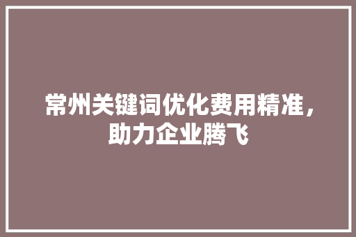 常州关键词优化费用精准，助力企业腾飞