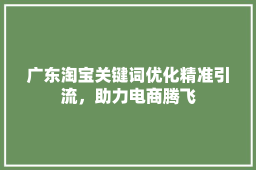 广东淘宝关键词优化精准引流，助力电商腾飞
