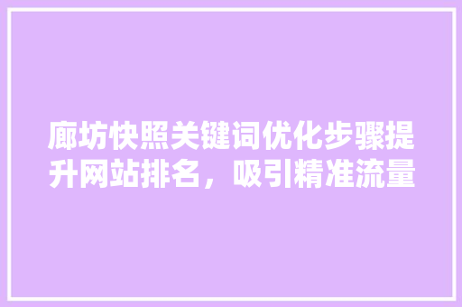 廊坊快照关键词优化步骤提升网站排名，吸引精准流量