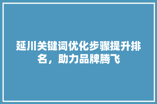 延川关键词优化步骤提升排名，助力品牌腾飞