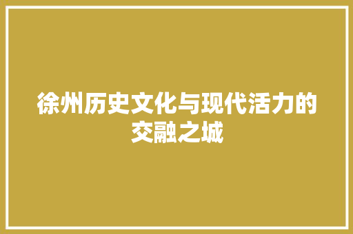 徐州历史文化与现代活力的交融之城