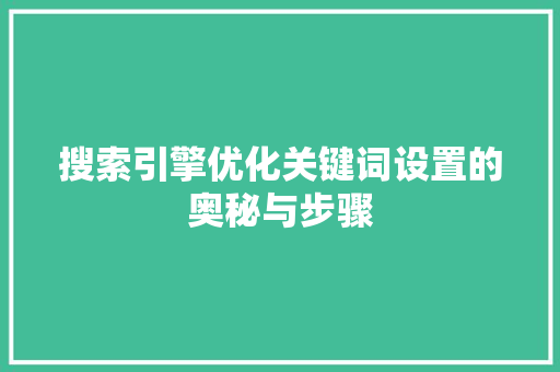 搜索引擎优化关键词设置的奥秘与步骤