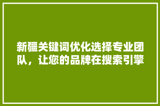 新疆关键词优化选择专业团队，让您的品牌在搜索引擎中脱颖而出