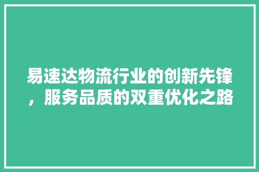 易速达物流行业的创新先锋，服务品质的双重优化之路