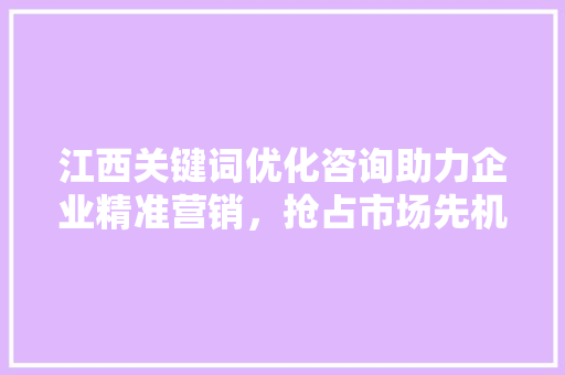 江西关键词优化咨询助力企业精准营销，抢占市场先机