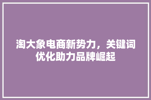 淘大象电商新势力，关键词优化助力品牌崛起