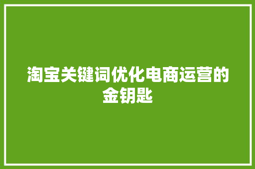 淘宝关键词优化电商运营的金钥匙