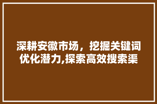 深耕安徽市场，挖掘关键词优化潜力,探索高效搜索渠道步骤