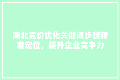 湖北竞价优化关键词步骤精准定位，提升企业竞争力