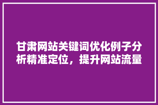 甘肃网站关键词优化例子分析精准定位，提升网站流量与转化率