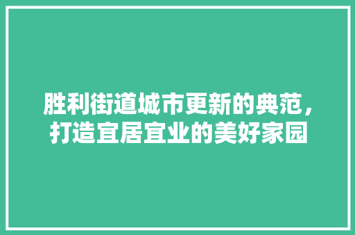 胜利街道城市更新的典范，打造宜居宜业的美好家园