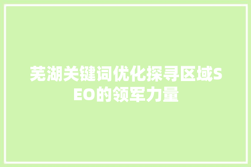 芜湖关键词优化探寻区域SEO的领军力量