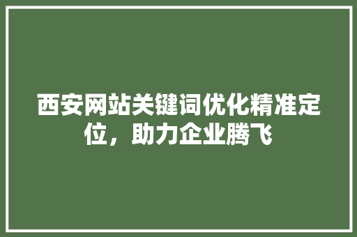 西安网站关键词优化精准定位，助力企业腾飞