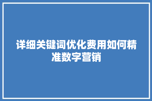 详细关键词优化费用如何精准数字营销