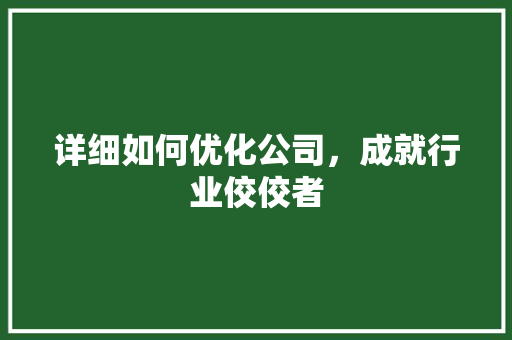 详细如何优化公司，成就行业佼佼者