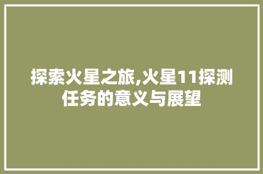 探索火星之旅,火星11探测任务的意义与展望