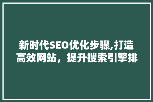 新时代SEO优化步骤,打造高效网站，提升搜索引擎排名