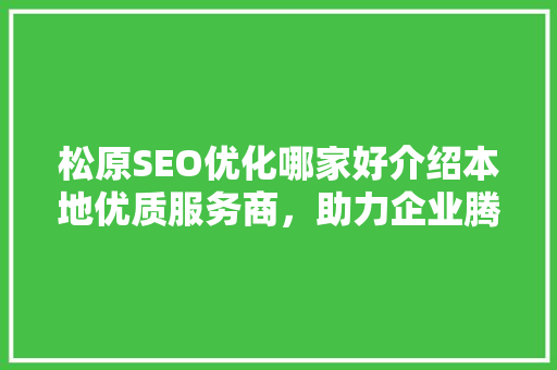 松原SEO优化哪家好介绍本地优质服务商，助力企业腾飞