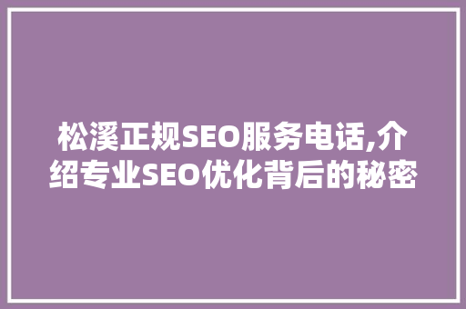 松溪正规SEO服务电话,介绍专业SEO优化背后的秘密