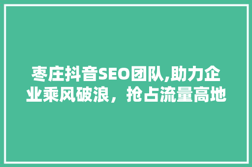 枣庄抖音SEO团队,助力企业乘风破浪，抢占流量高地