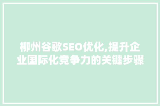 柳州谷歌SEO优化,提升企业国际化竞争力的关键步骤